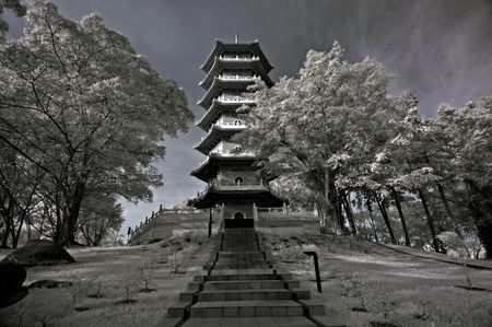 infrared photo - tree, landscape and pagoda in parksの写真素材