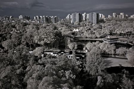 infrared photo - tree, landscape and building in parksの写真素材