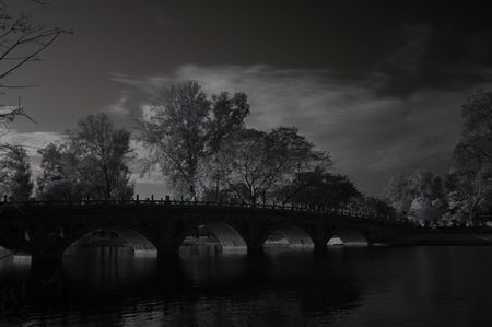Infrared photo  tree, lake and bridge in the parksの写真素材