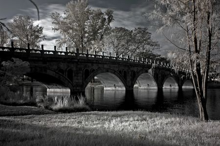 Infrared photo  tree, lake and bridge in the parksの写真素材