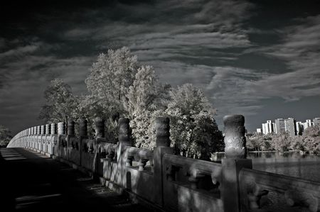 Infrared photo  tree, lake and bridge in the parksの写真素材