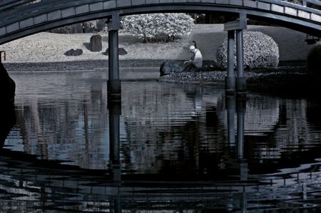 Infrared photo  tree, man and bridge in the parks の写真素材