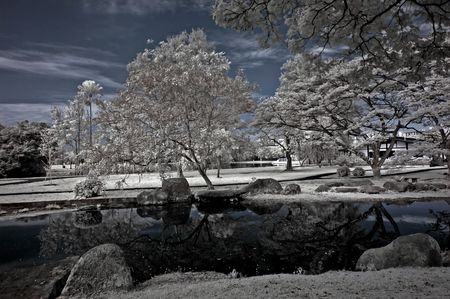 Infrared photo  tree, lake and cloud in the parksの写真素材