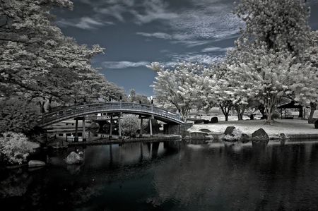 Infrared photo  tree, bridge and cloud in the parksの写真素材
