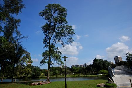 river, cloud and tree in the parks