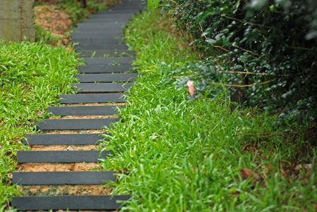 walk path in the parksの写真素材