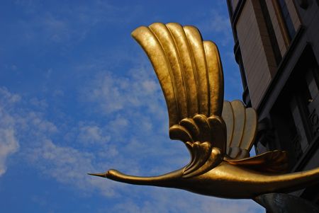 golden bird and blue skyの写真素材