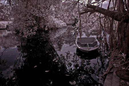infrared photo - lake, tree and boat in the parksの写真素材