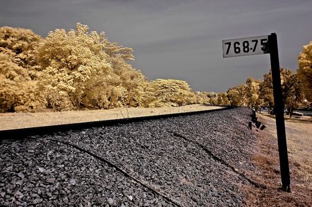 Infrared photo – railway, landscape and tree in the parks