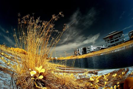 plant, drain and landscapeの写真素材
