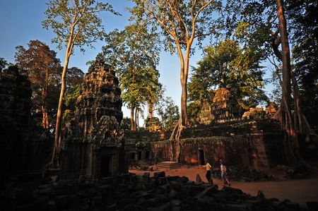 tree and ancient Banyon Temple in Cambodiaの写真素材