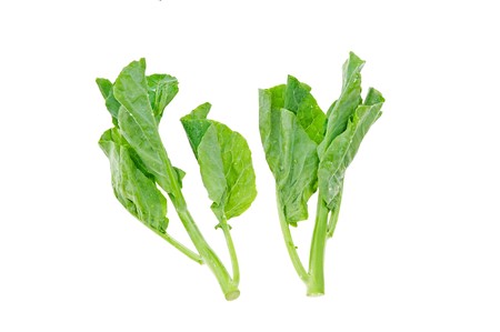 green vegetableの写真素材