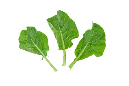 green vegetablesの写真素材