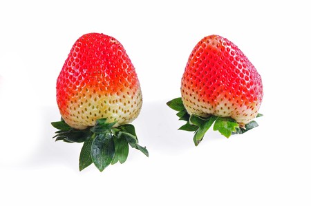strawberry isolated objectの写真素材