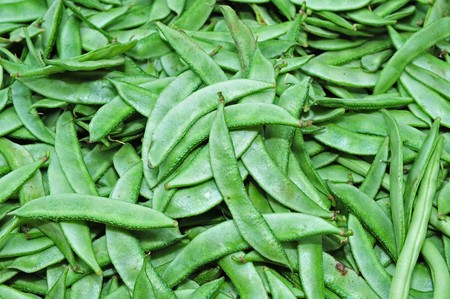 broad bean