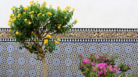 Blooming Flower With Multi Color Glazed Tile Wall.Old Orient Styleの写真素材
