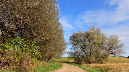 Country Dirt Road In Rural Areas. Germany