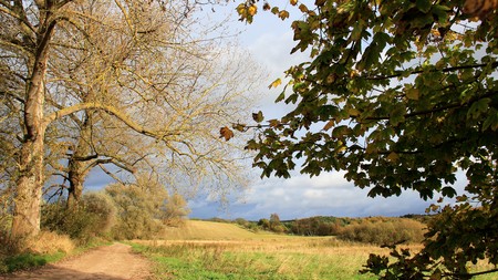 Autumn And Empty Dirt Road In Rural Areasの写真素材