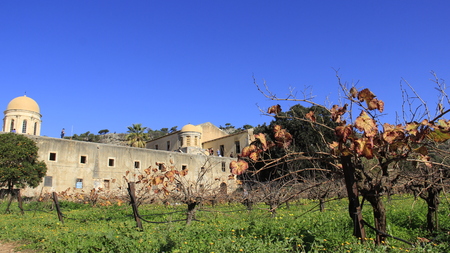 Historic place of Agia Triada church with vineyard and green grass with blue sky backgroundのeditorial素材