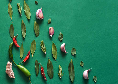 Herbal ingredients for a curry arranged on a green background in a pattern.の写真素材
