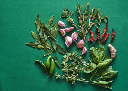 Fresh herbs and spices on a green backgroundの写真素材