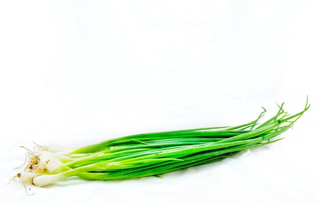 Onionの写真素材