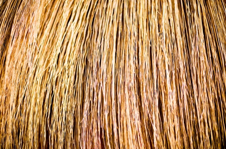 Hay  backgroundの写真素材