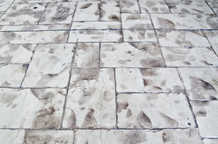 Brick floor の写真素材