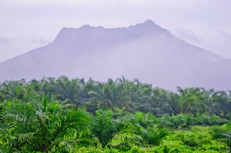 Mountains in the mist 