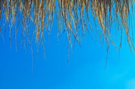 Hay against sky の写真素材