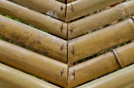 bamboo background の写真素材