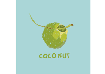 vector of coconutのイラスト素材