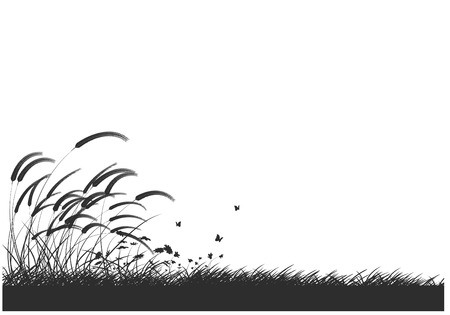 wild herbs and flowers silhouetteのイラスト素材