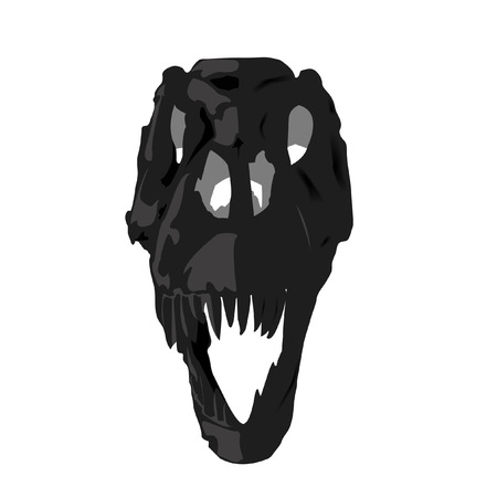 skull fossil dinosaurのイラスト素材