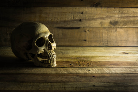 skull on the woodの写真素材