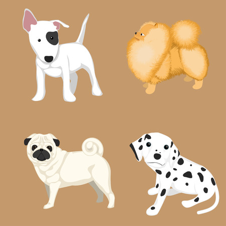 vector  dog setのイラスト素材
