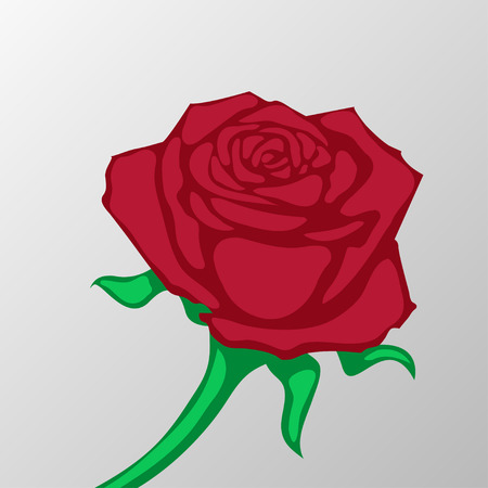 rose vectorのイラスト素材