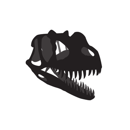 dinosaur skull  のイラスト素材