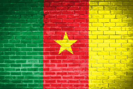 cameroon flag,wall texture backgroundの写真素材