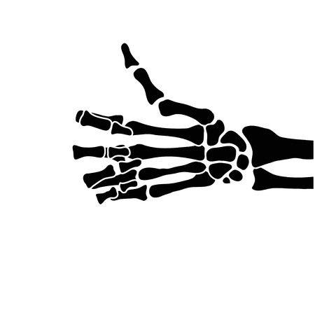 hand bonesのイラスト素材