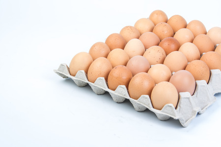 Egg in an egg crate on white background