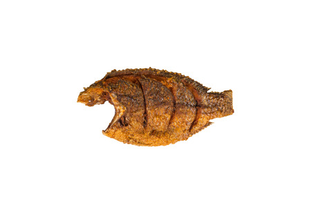 fish fry on white background