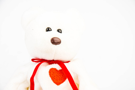 teddy bear on white backgroundの写真素材