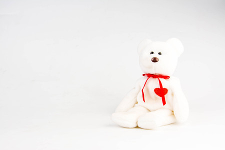 teddy bear on white backgroundの写真素材