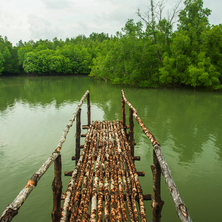 Wood bridgeの写真素材