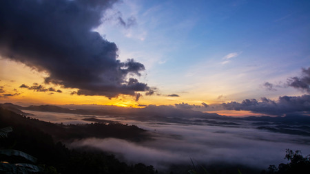 Fog covering the mountain forestsの写真素材
