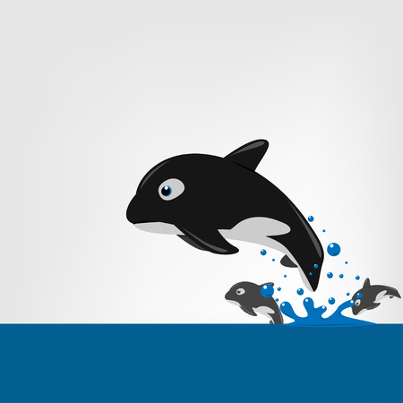 The killer whale (Orcinus orca) swims in the open sea. Vector illustration.のイラスト素材