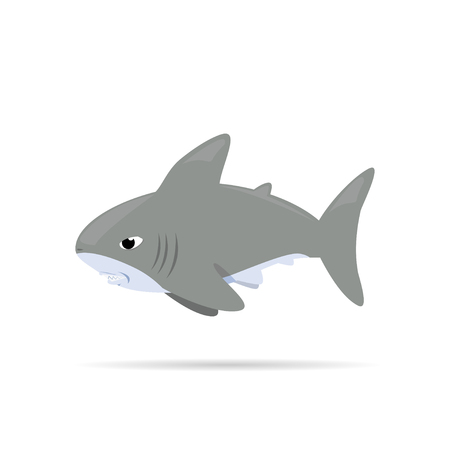 Vector illustration ,white shark ,Cartoonのイラスト素材