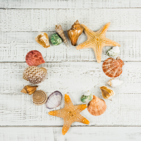 fish star and sea shells on the wooden background