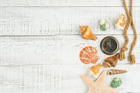 fish star and sea shells on the wooden background
